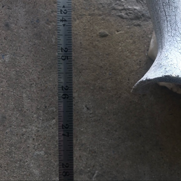 HOLD Vintage | Boho Deer Antler Rack Decor - Picture 15 of 16